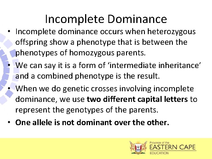 Incomplete Dominance • Incomplete dominance occurs when heterozygous offspring show a phenotype that is