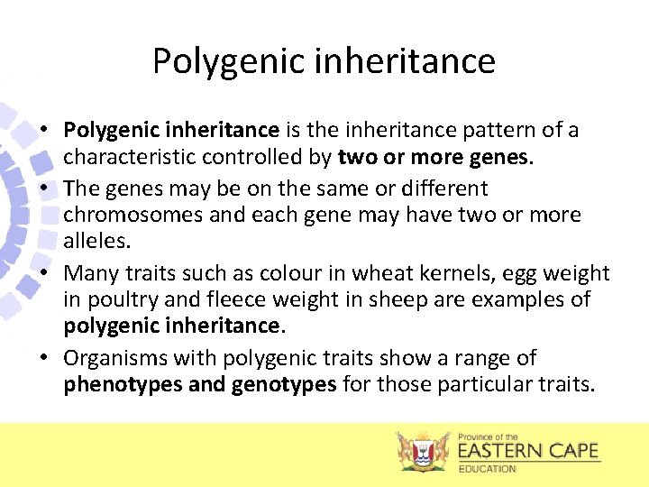 Polygenic inheritance • Polygenic inheritance is the inheritance pattern of a characteristic controlled by