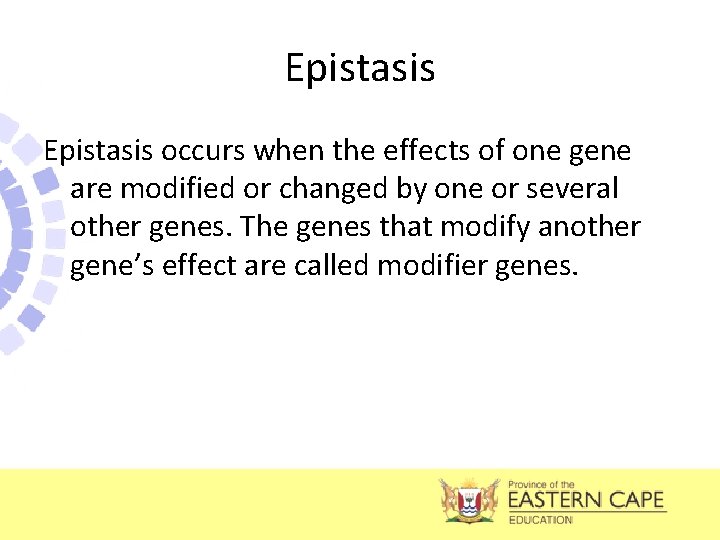Epistasis occurs when the effects of one gene are modified or changed by one