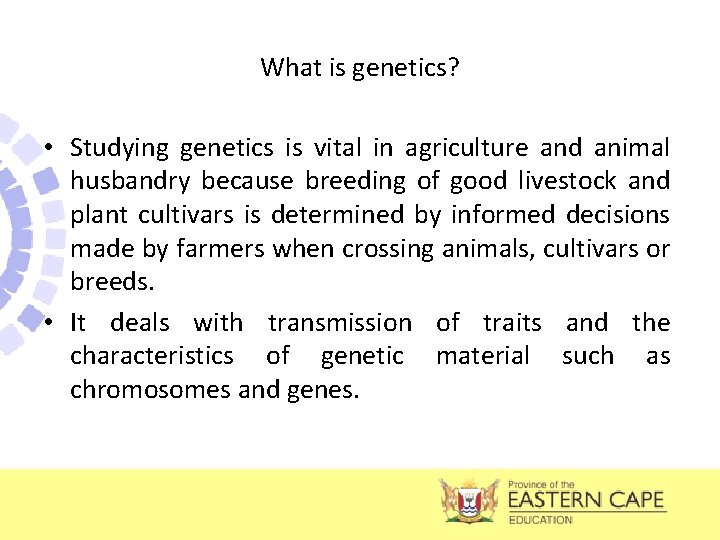 What is genetics? • Studying genetics is vital in agriculture and animal husbandry because