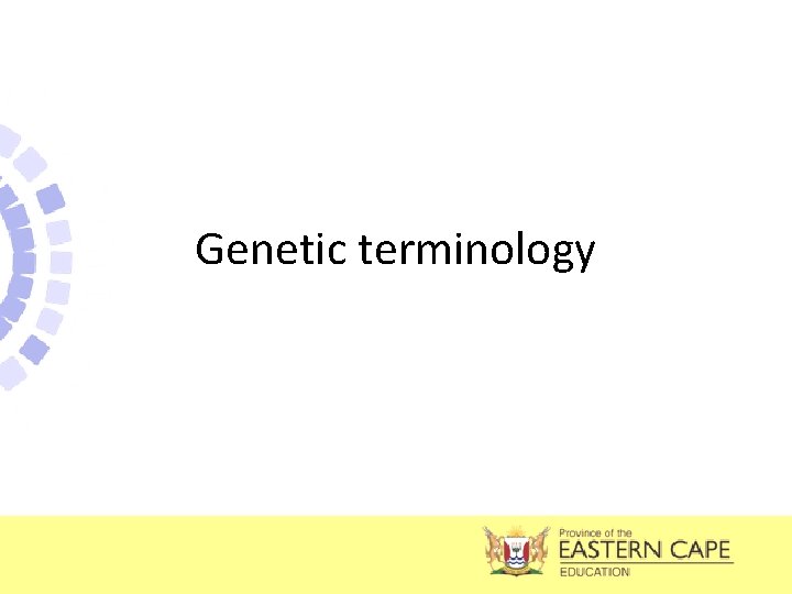 Genetic terminology 