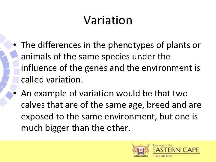 Variation • The differences in the phenotypes of plants or animals of the same