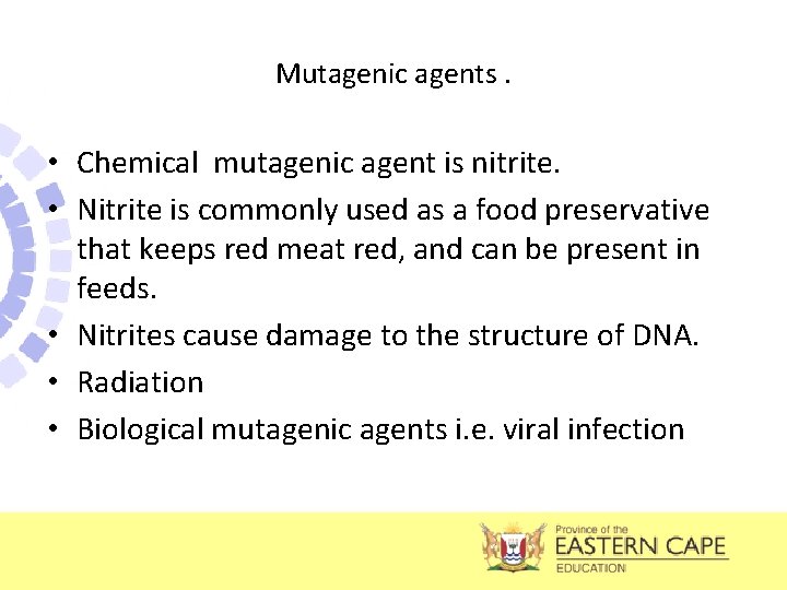 Mutagenic agents. • Chemical mutagenic agent is nitrite. • Nitrite is commonly used as