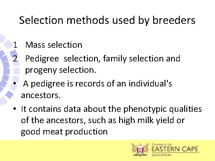 Selection methods used by breeders 1 Mass selection 2 Pedigree selection, family selection and