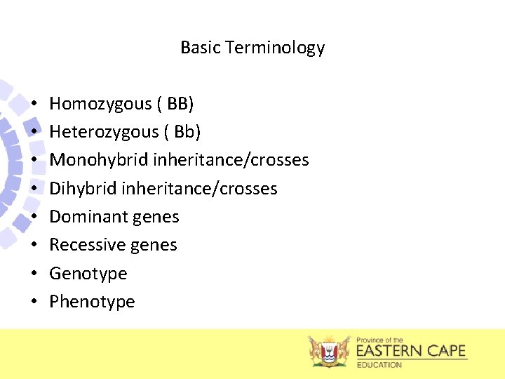 Basic Terminology • • Homozygous ( BB) Heterozygous ( Bb) Monohybrid inheritance/crosses Dihybrid inheritance/crosses