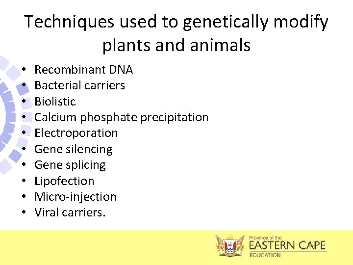 Techniques used to genetically modify plants and animals • • • Recombinant DNA Bacterial