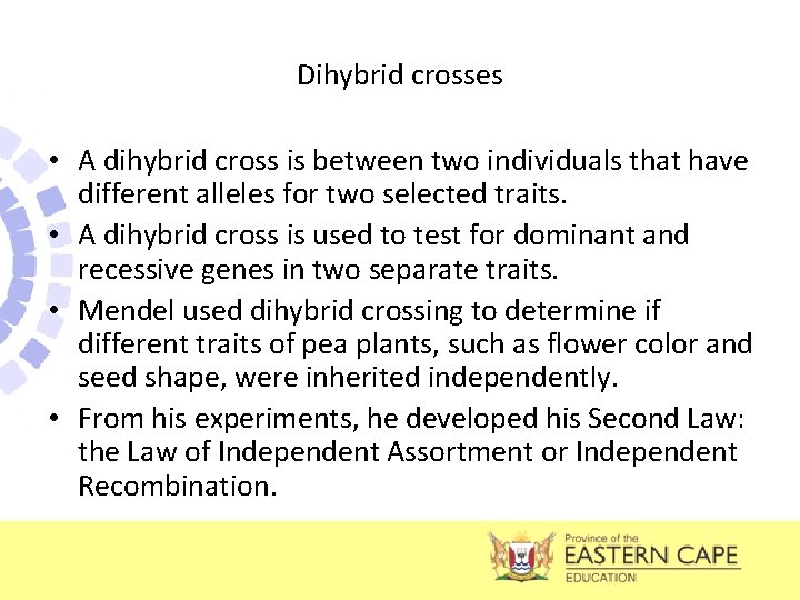Dihybrid crosses • A dihybrid cross is between two individuals that have different alleles