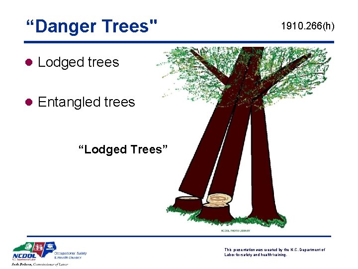 “Danger Trees" 1910. 266(h) l Lodged trees l Entangled trees “Lodged Trees” This presentation