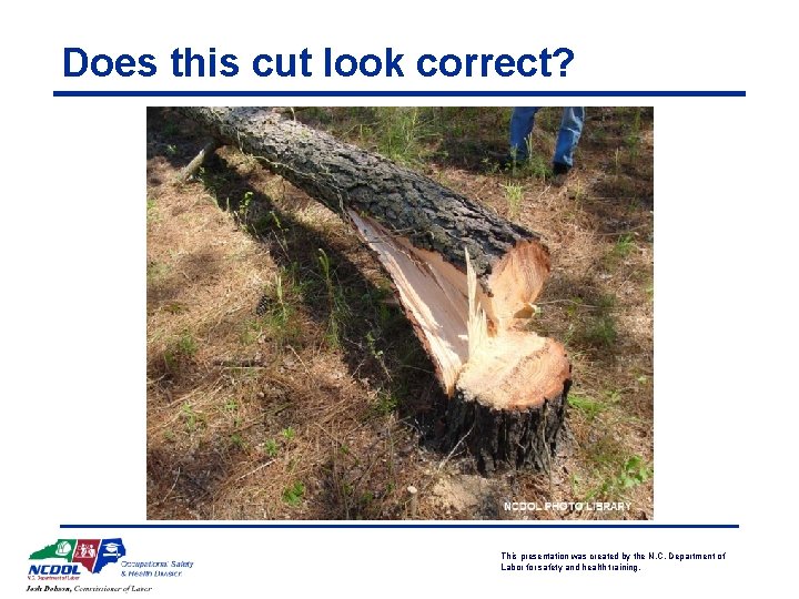 Does this cut look correct? This presentation was created by the N. C. Department
