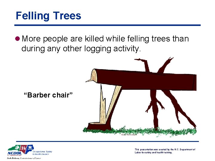 Felling Trees l More people are killed while felling trees than during any other