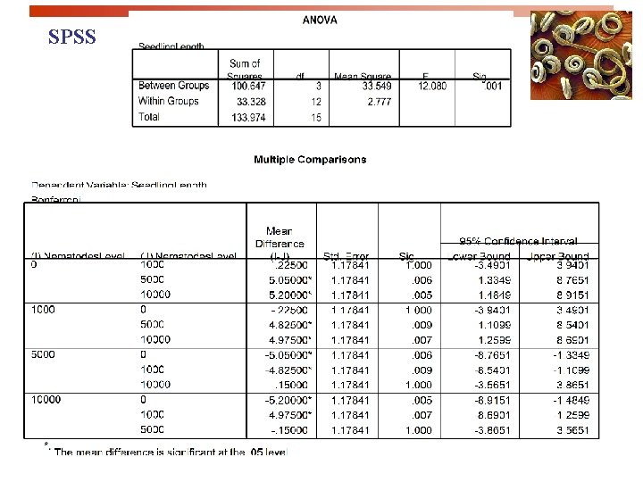 SPSS 