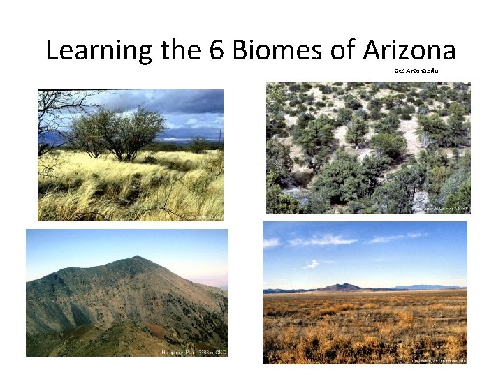 Learning the 6 Biomes of Arizona Geo. Arizona. edu 