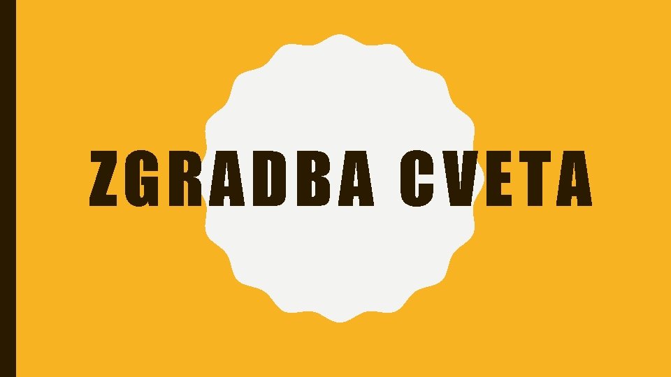 ZGRADBA CVETA 