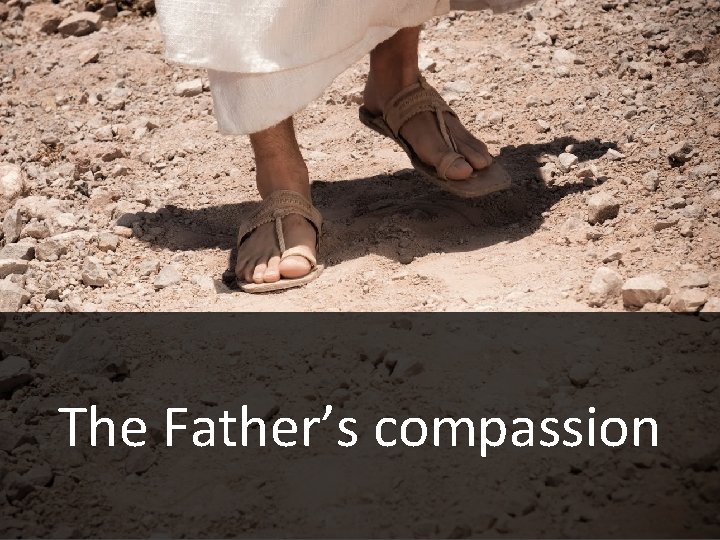 The Father’s compassion 