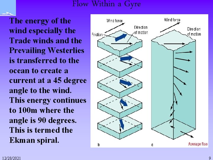 Flow Within a Gyre The energy of the wind especially the Trade winds and Flow Within a Gyre The energy of the wind especially the Trade winds and