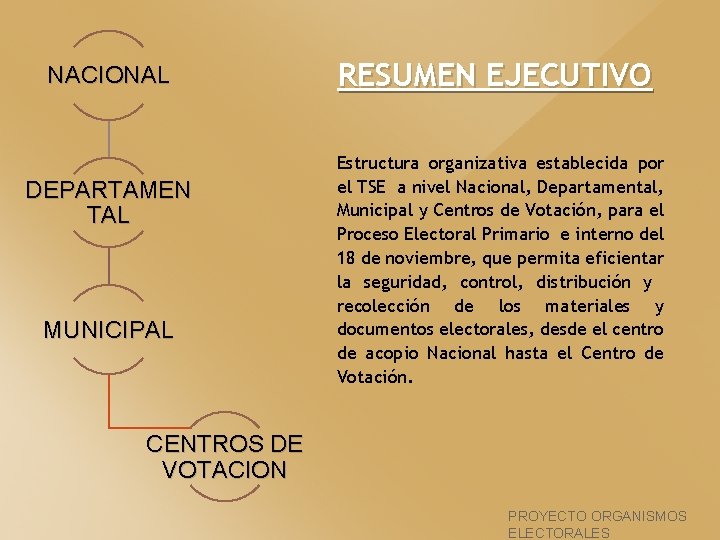 NACIONAL DEPARTAMEN TAL MUNICIPAL RESUMEN EJECUTIVO Estructura organizativa establecida por el TSE a nivel