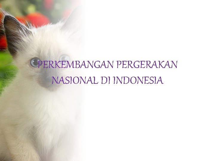 PERKEMBANGAN PERGERAKAN NASIONAL DI INDONESIA 