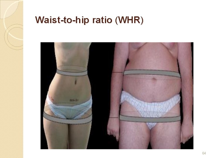 Waist-to-hip ratio (WHR) 64 