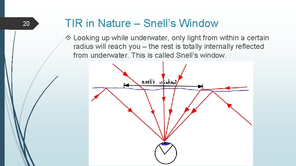 20 TIR in Nature – Snell’s Window Looking up while underwater, only light from