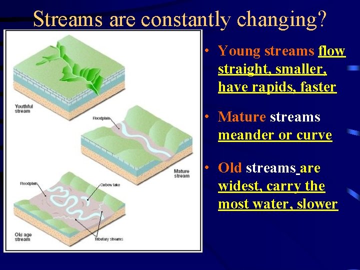Streams are constantly changing? • Young streams flow straight, smaller, have rapids, faster •