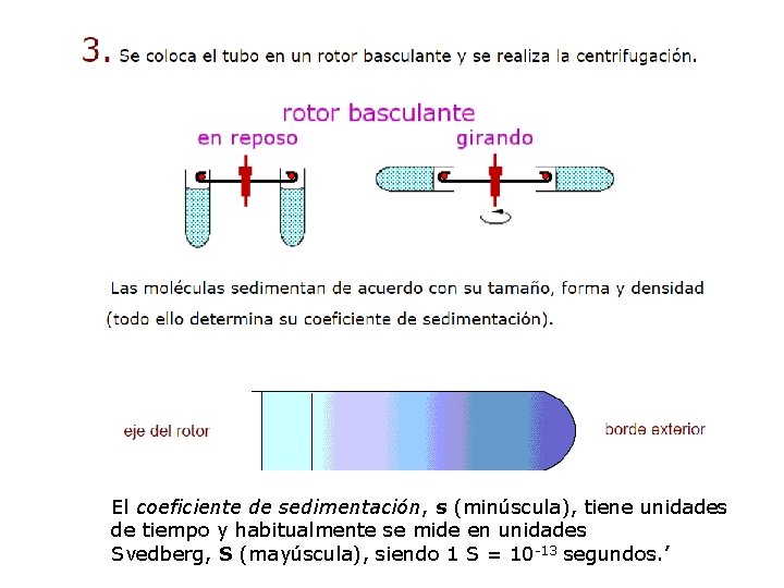 El coeficiente de sedimentación, s (minúscula), tiene unidades de tiempo y habitualmente se mide