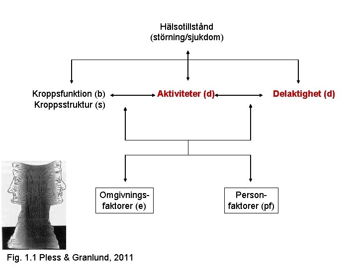 Hälsotillstånd (störning/sjukdom) Kroppsfunktion (b) Kroppsstruktur (s) Omgivningsfaktorer (e) Fig. 1. 1 Pless & Granlund,