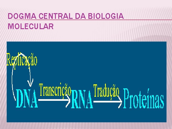 DOGMA CENTRAL DA BIOLOGIA MOLECULAR 