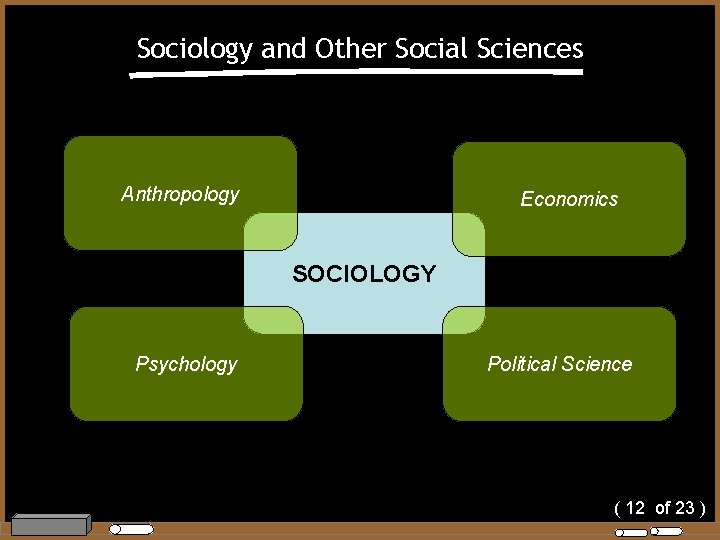 Sociology and Other Social Sciences Anthropology Economics SOCIOLOGY Psychology Political Science ( 12 of