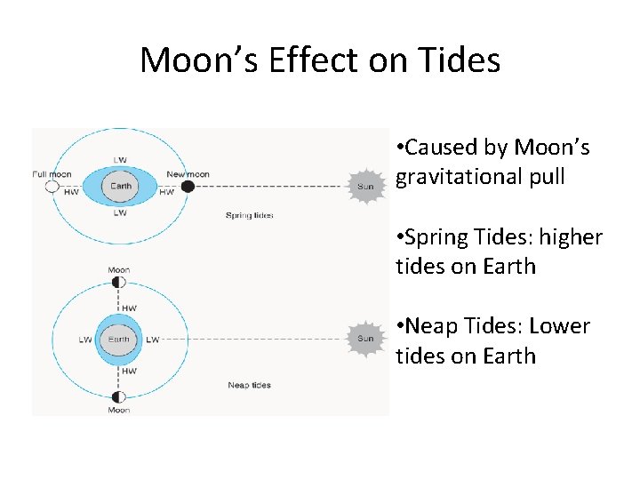 Moon’s Effect on Tides • Caused by Moon’s gravitational pull • Spring Tides: higher