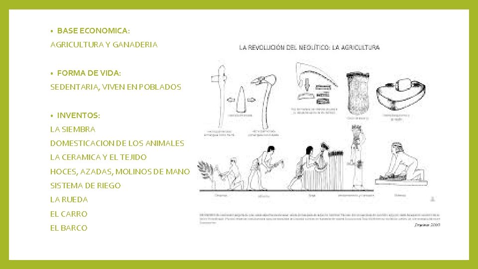  • BASE ECONOMICA: AGRICULTURA Y GANADERIA • FORMA DE VIDA: SEDENTARIA, VIVEN EN