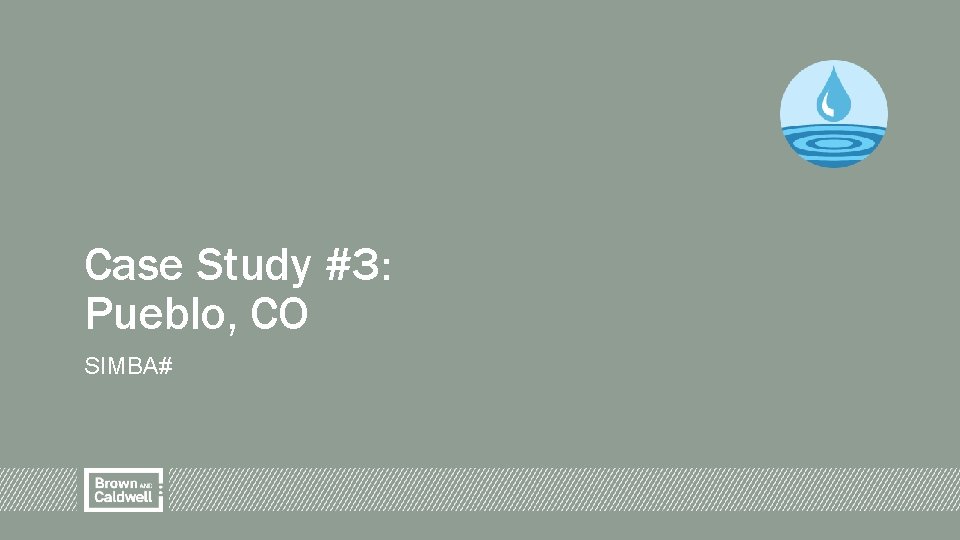 Case Study #3: Pueblo, CO SIMBA# 