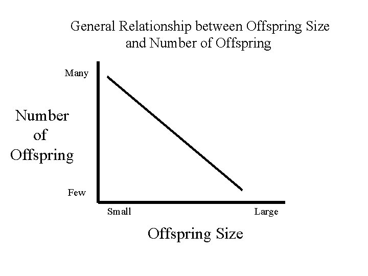 General Relationship between Offspring Size and Number of Offspring Many Number of Offspring Few
