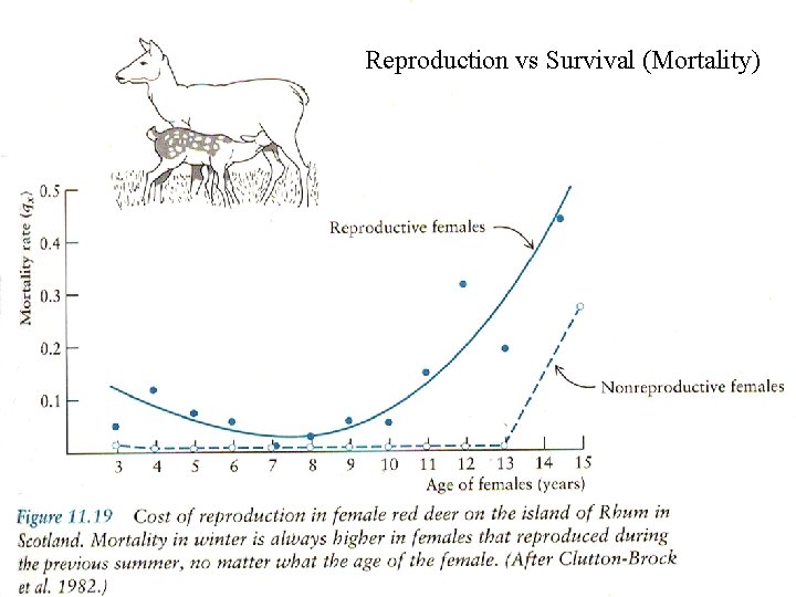 Reproduction vs Survival (Mortality) 