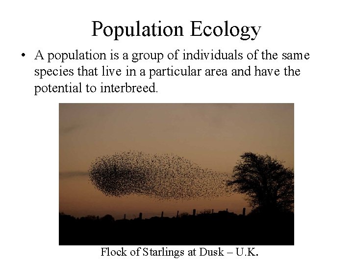 Population Ecology • A population is a group of individuals of the same species