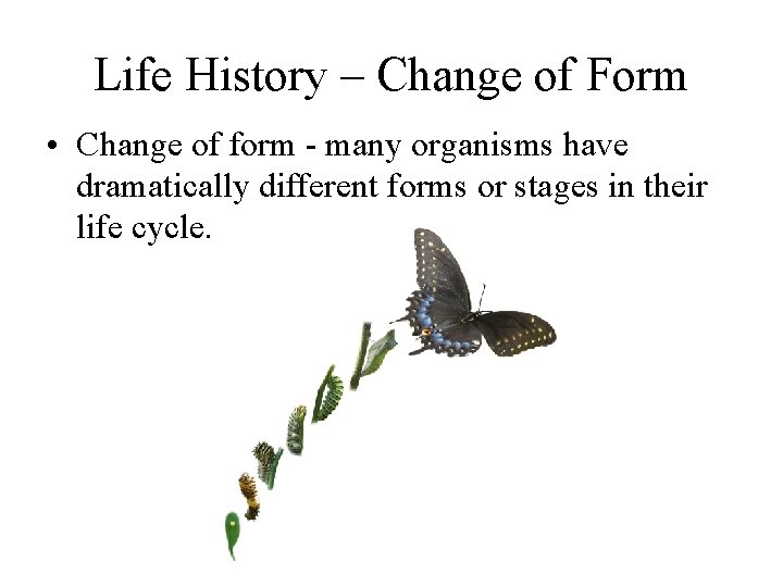 Life History – Change of Form • Change of form - many organisms have