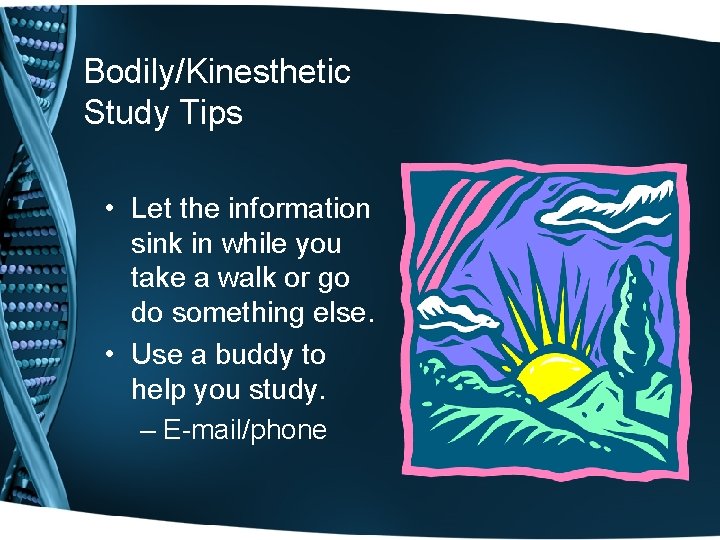 Bodily/Kinesthetic Study Tips • Let the information sink in while you take a walk