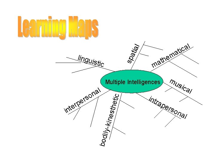 tial spa lingu istic a m e h t a m Multiple Intelligences esth