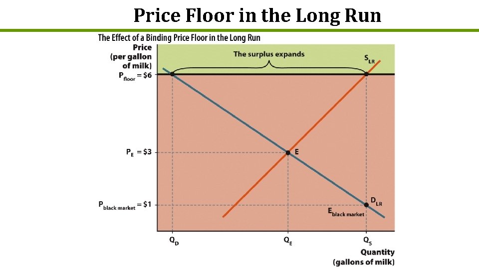 Price Floor in the Long Run 