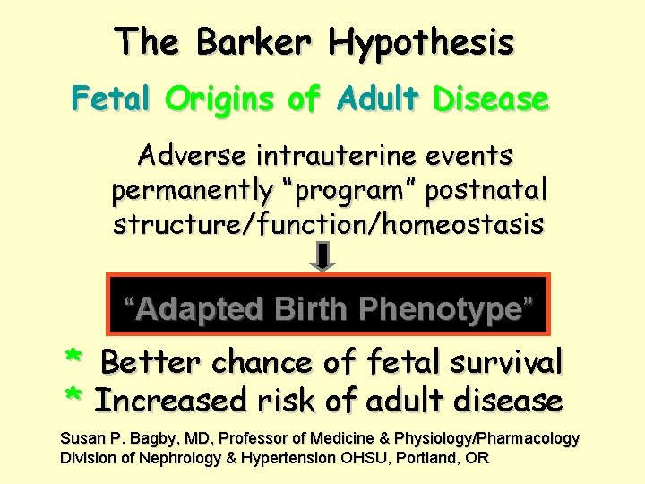 The Barker Hypothesis Fetal Origins of Adult Disease Adverse intrauterine events permanently “program” postnatal