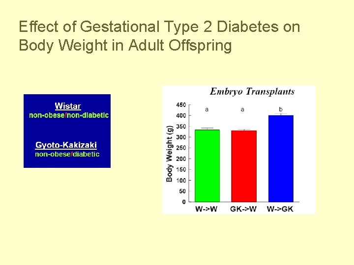 Effect of Gestational Type 2 Diabetes on Body Weight in Adult Offspring 