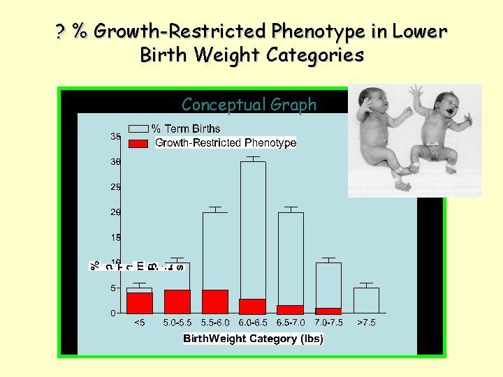 ? % Growth-Restricted Phenotype in Lower Birth Weight Categories Conceptual Graph 