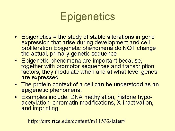 Epigenetics • Epigenetics = the study of stable alterations in gene expression that arise