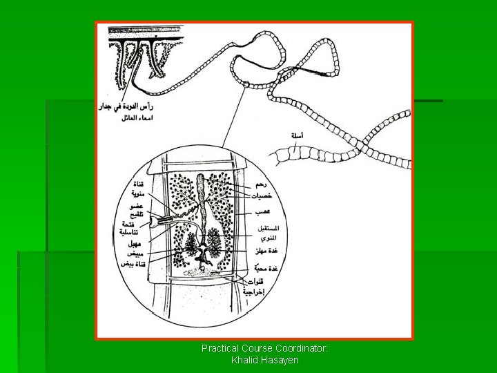 Practical Course Coordinator: Khalid Hasayen 