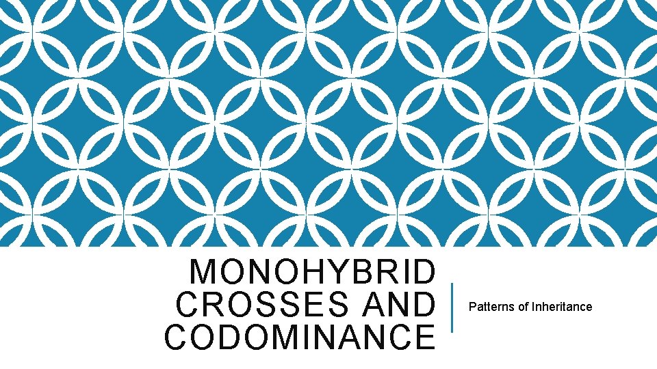 MONOHYBRID CROSSES AND CODOMINANCE Patterns of Inheritance 