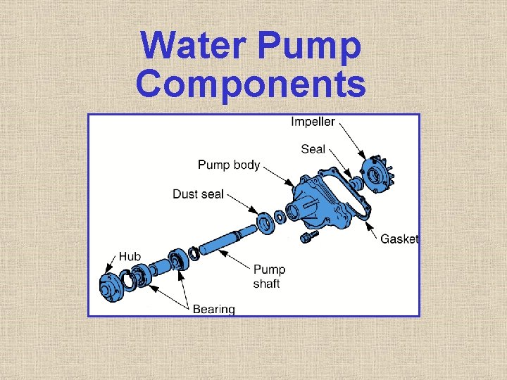 Water Pump Components Water Pump Components