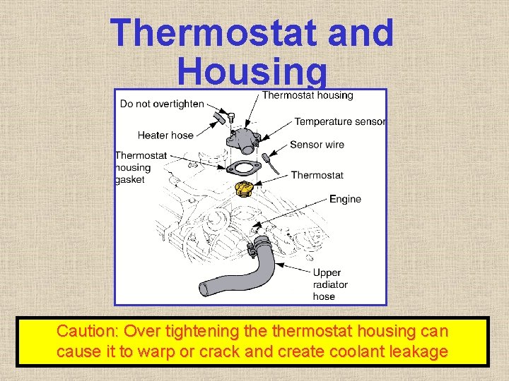 Thermostat and Housing Caution: Over tightening thermostat housing can cause it to warp or Thermostat and Housing Caution: Over tightening thermostat housing can cause it to warp or
