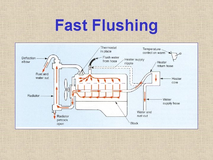 Fast Flushing Fast Flushing