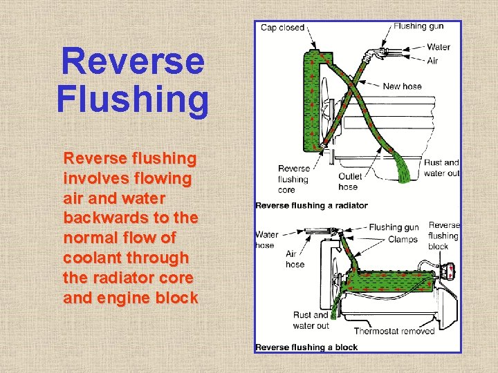 Reverse Flushing Reverse flushing involves flowing air and water backwards to the normal flow Reverse Flushing Reverse flushing involves flowing air and water backwards to the normal flow