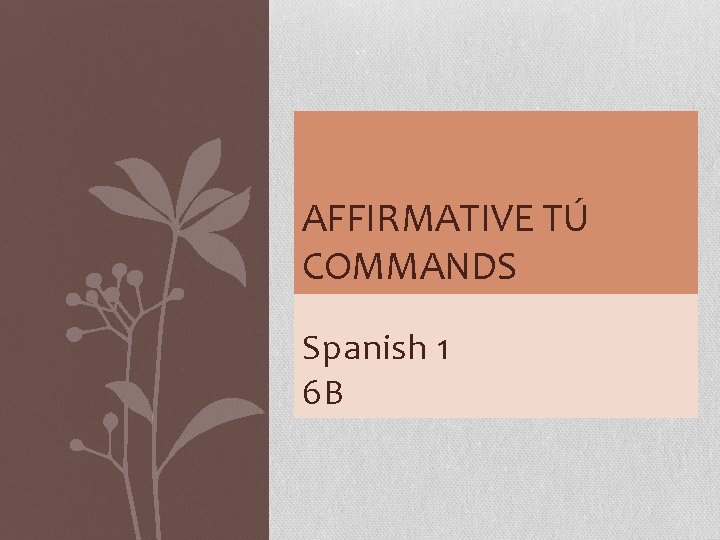 AFFIRMATIVE TÚ COMMANDS Spanish 1 6 B 