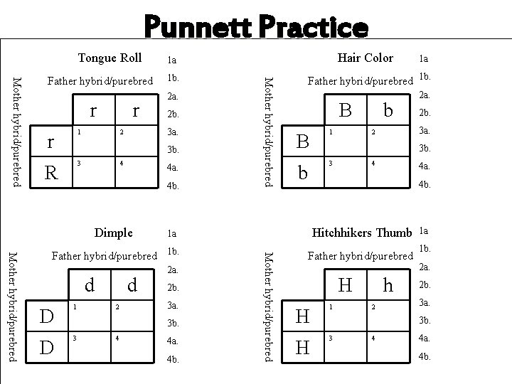 Punnett Practice Tongue Roll r r 1 R 3 r 1 b. 2 a.
